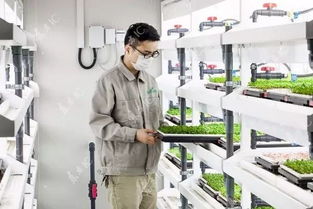 植物照明工廠(chǎng) 為健康買(mǎi)單，還是科技賦能農(nóng)業(yè)的未來(lái)？