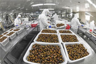 遵化 農(nóng)產(chǎn)品轉(zhuǎn)化助農(nóng)增收