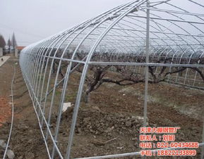 劉姐 蔬菜大棚配件廠家 長(zhǎng)壽區(qū)大棚配件廠