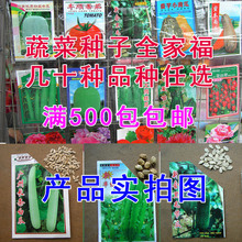 大白瓜價(jià)格_今日最新大白瓜價(jià)格行情走勢(shì) 