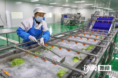 鹽堿地上的蔬菜進(jìn)京了