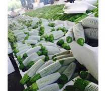 東莞食堂承包產品庫