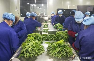 其實,美食和我們都活在存在感中