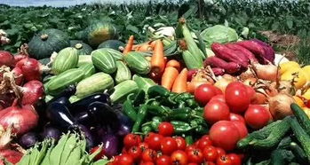 農(nóng)產(chǎn)品地理標志助力產(chǎn)業(yè)扶貧 推動農(nóng)產(chǎn)品區(qū)域品牌