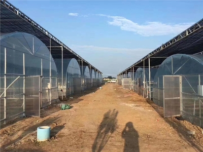 衡陽連棟溫室大棚廠價格,報價